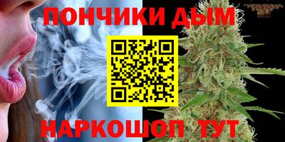 шишки Беслан